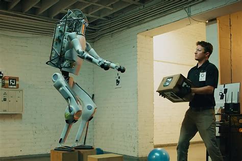 are robots that fight back fake